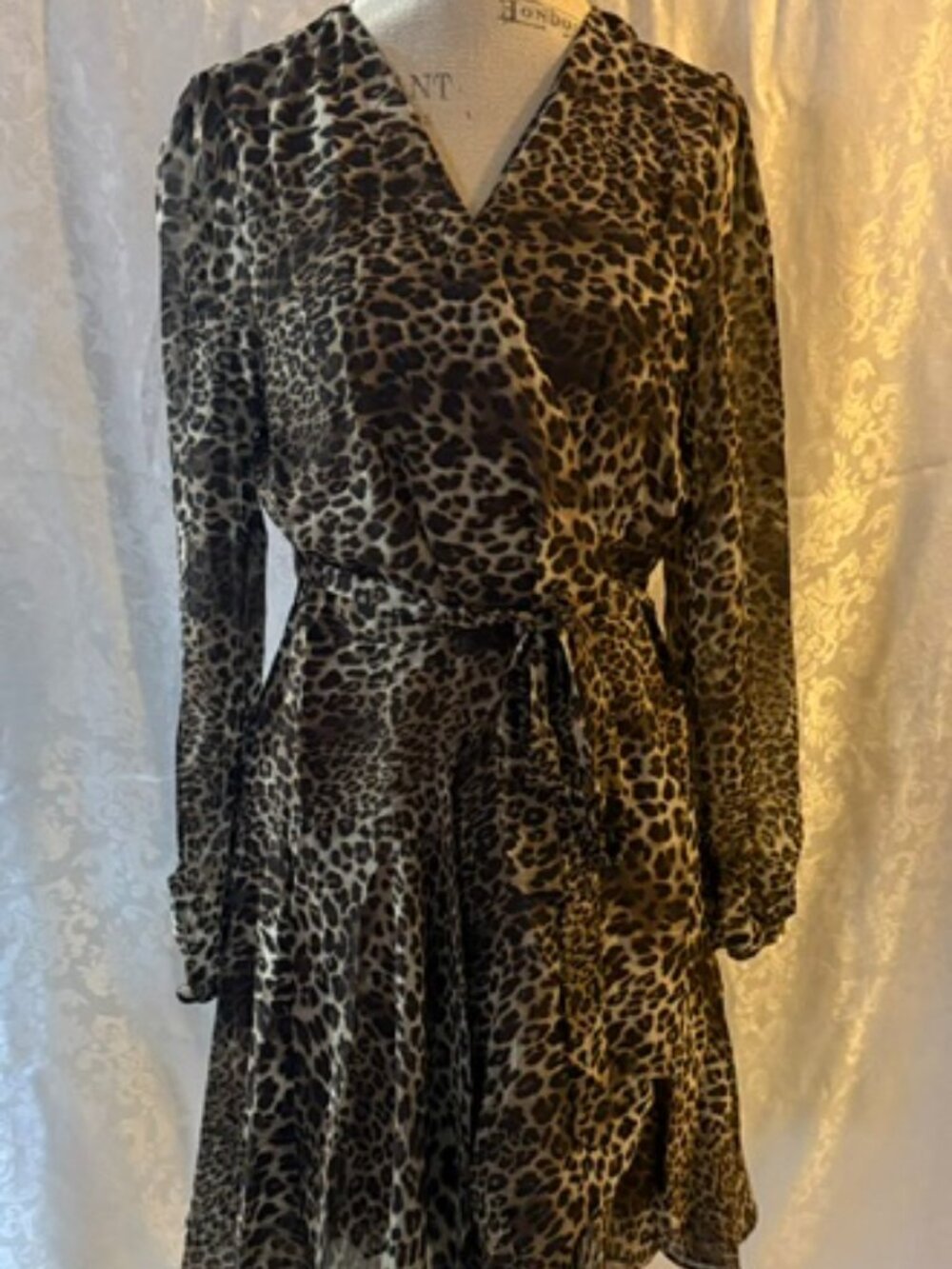 Beautiful brown ladies dress